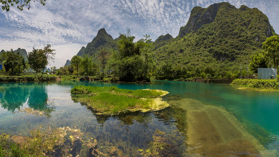 yi tiao hui kai hua de he ( hai cai hua ji di )