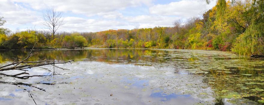 Whitnall Park