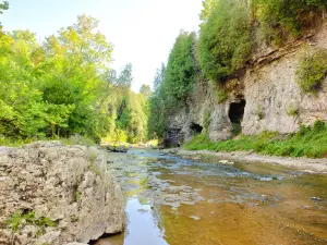Elora