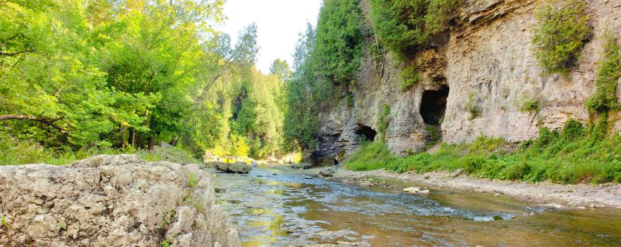 Elora