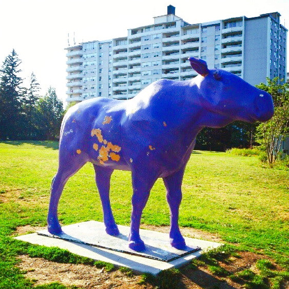 Popular Ski Resorts in Toronto