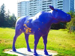 Popular Ski Resorts in Toronto