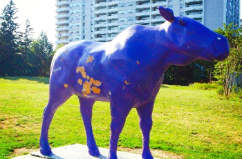 Popular Ski Resorts in Toronto