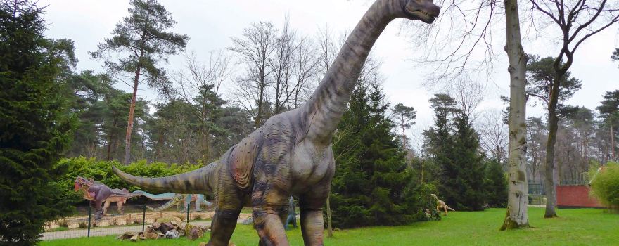 Dino Zoo Metelen