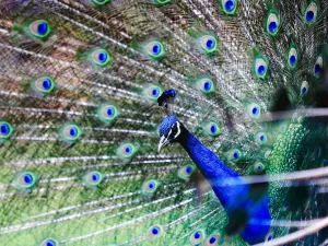 Kunming Zoo
