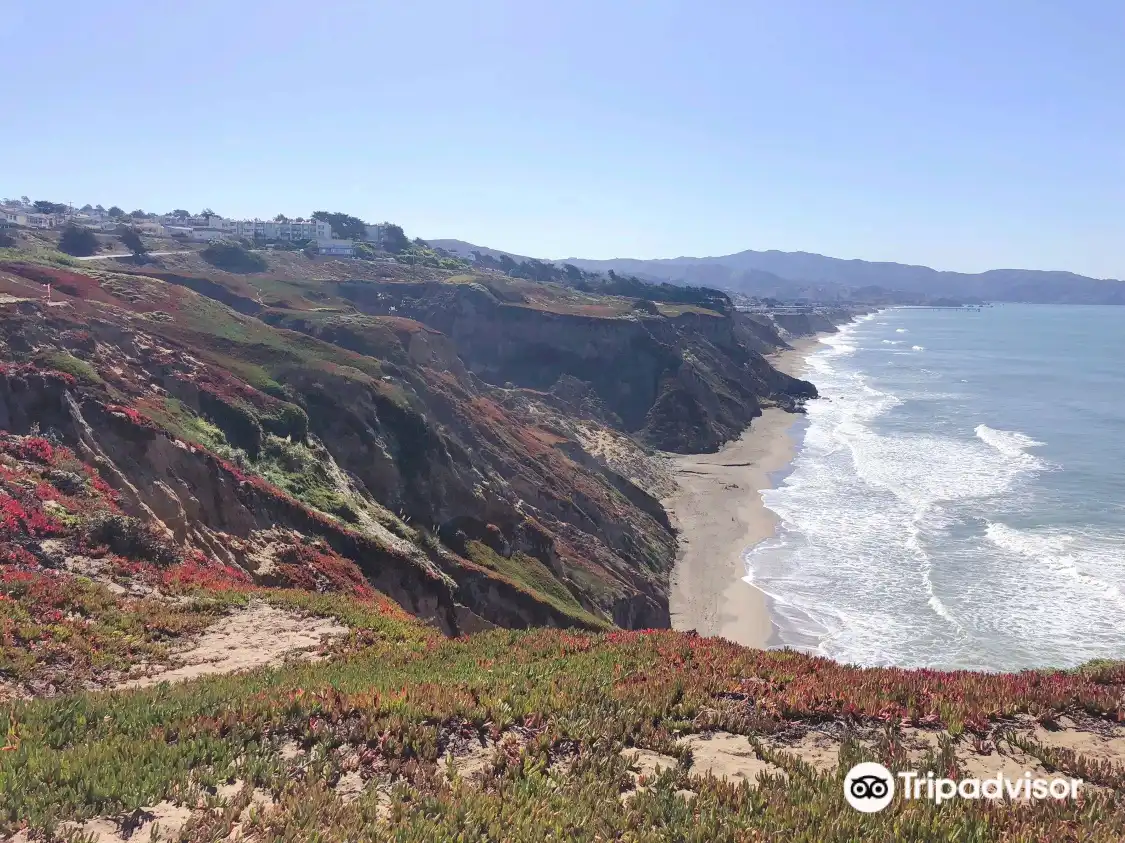 Hotels near Mussel Rock Park