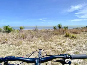 Laguna Atascosa National Wildlife Refuge