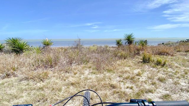 Laguna Atascosa National Wildlife Refuge