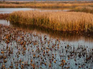 Migliori 10 Attrazioni per la visione autunnale a Baoding