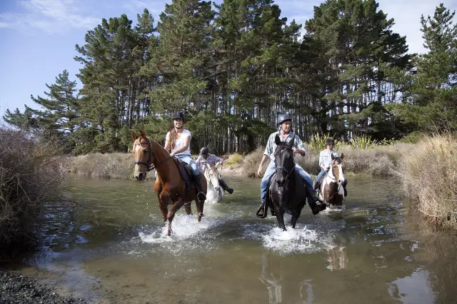 Horse Riding in Auckland