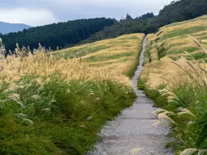 Sengokuhara