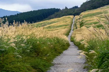 Sengokuhara