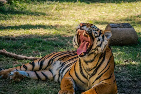 Zoologico Guadalajara