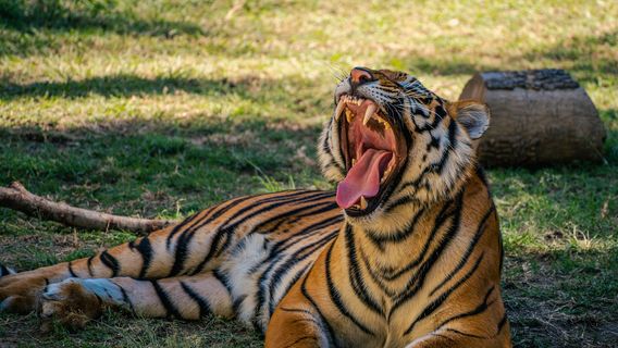 Zoológico Guadalajara