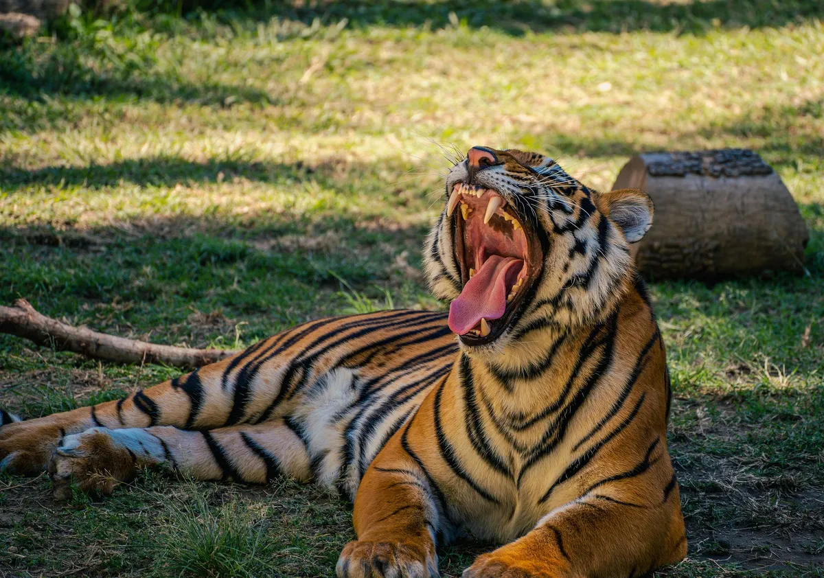 Zoologico Guadalajara