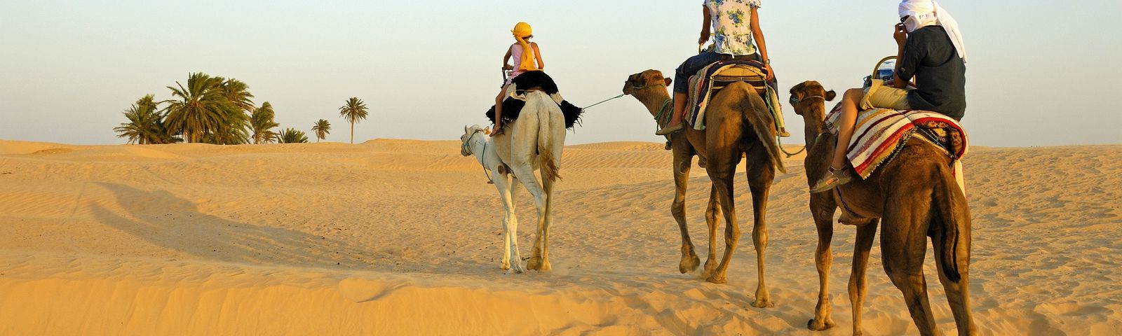travel