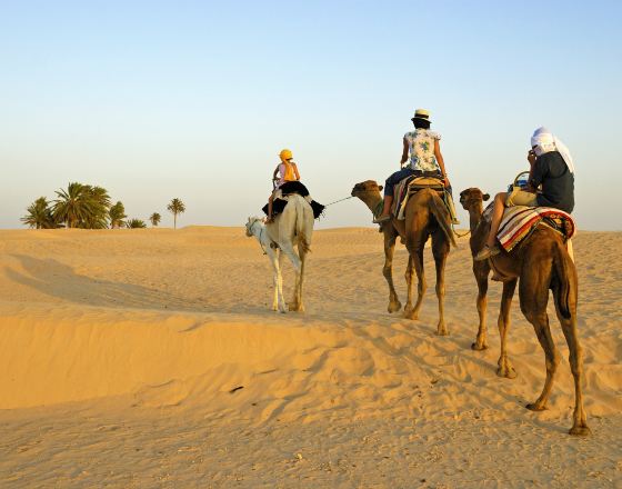 杜茲 自由行套票