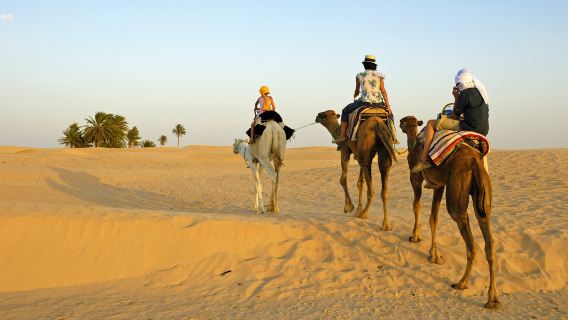 Sahara
