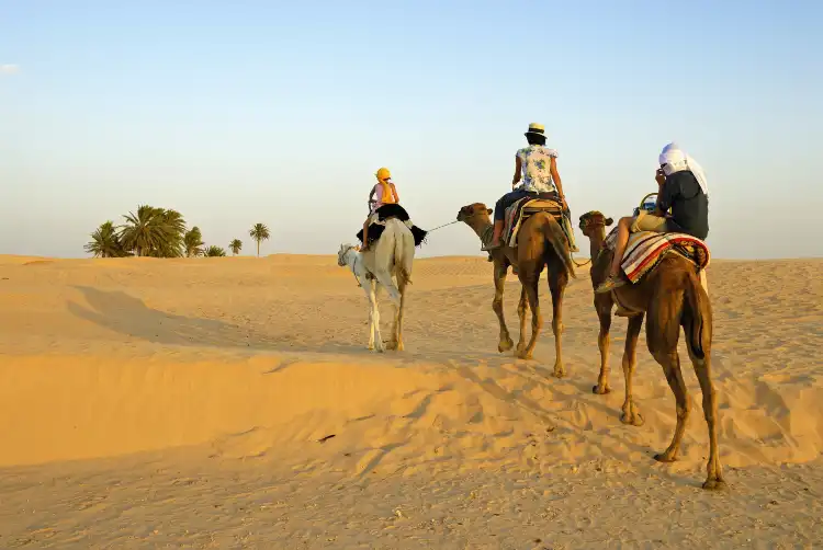 Hotels near Ghidma Oasis