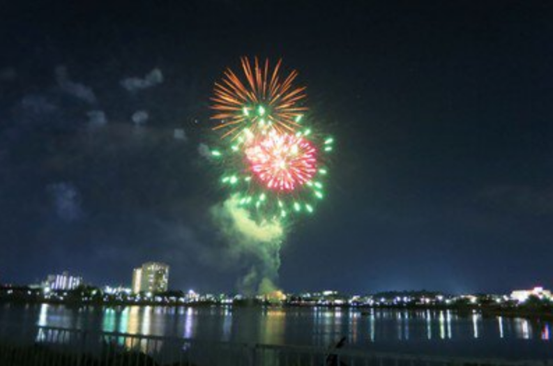 Cherry Blossom Festival: Summer Blossom Night at Sayamaike Pond | Osakasayama