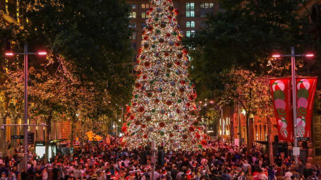 Martin Place Christmas tree | Sydney