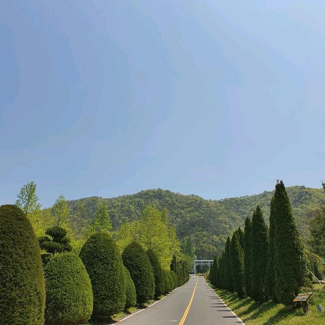 푸릇함의 끝판왕, 나주 산림자원연구소
