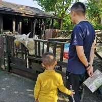 沖繩水果樂園