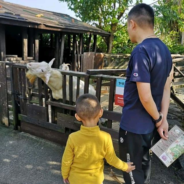沖繩水果樂園