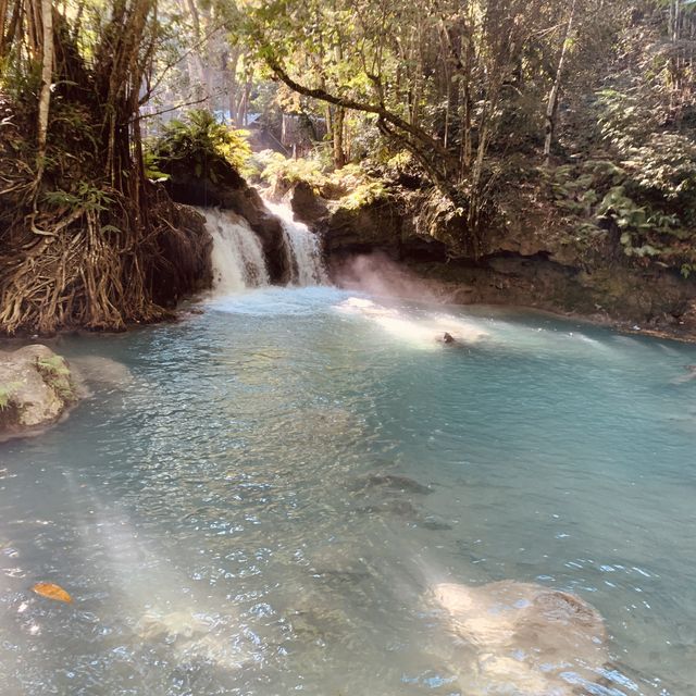Kawasan Falls, Badian
