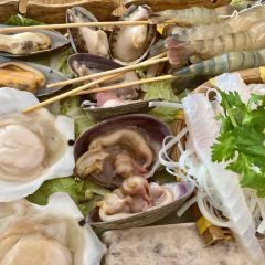 Thai Basil User Photo