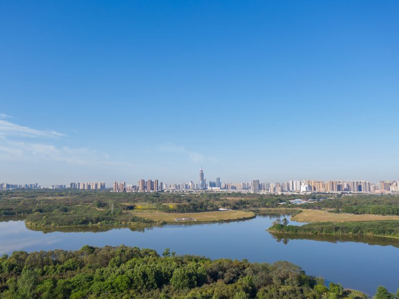 Qinglonghu Wetland Park