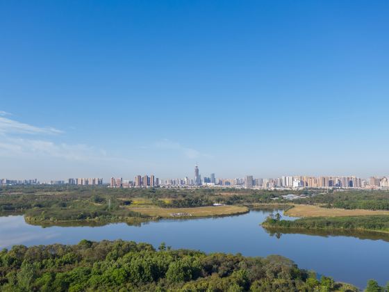 青龍湖濕地公園