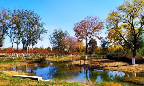 Beijing Wenyu River Park