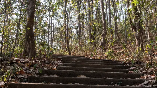 紫馬嶺公園