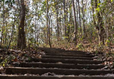 紫馬嶺公園