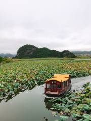 浴仙湖