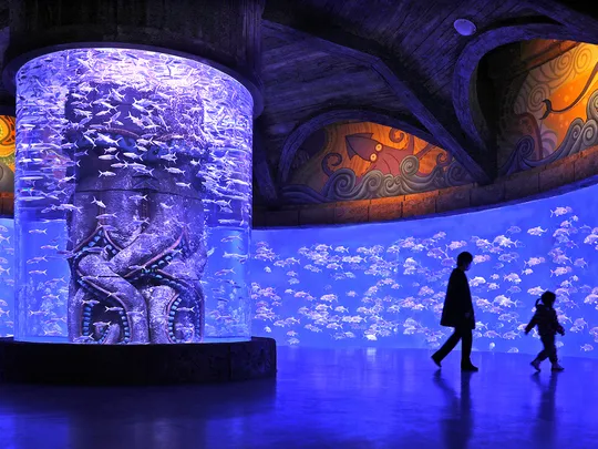 4_波塞冬海底世界