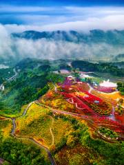 Nanhuduocai Botanical Garden