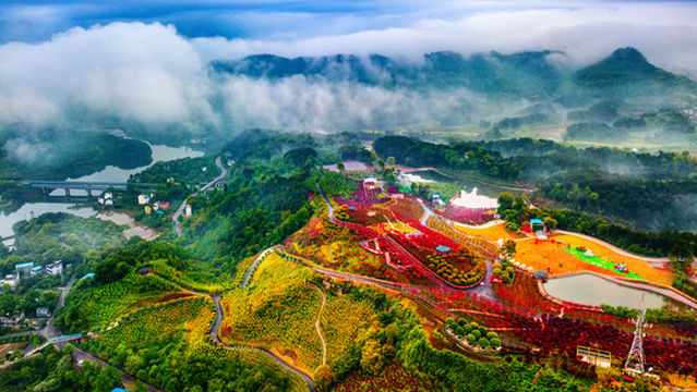 Nanhuduocai Botanical Garden