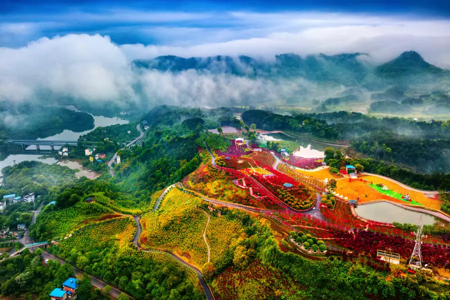 Nanhuduocai Botanical Garden