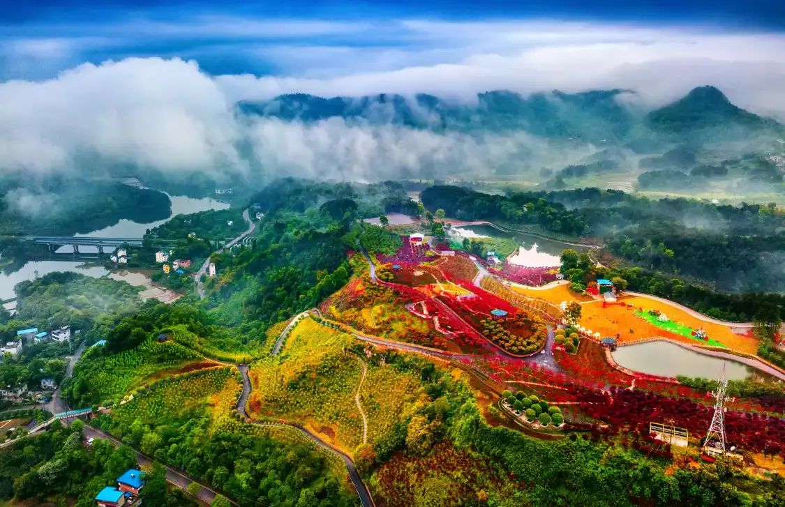 Hotels near Nanhuduocai Botanical Garden