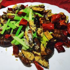 天添纸包鸡家常菜 User Photo