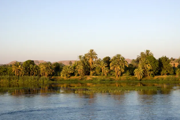 Отзывы об отеле The St. Regis New Capital, Cairo