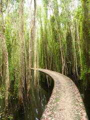 Mangrove Ecological Reserve