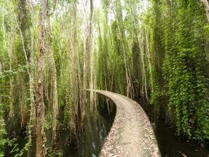 Mangrove Ecological Reserve