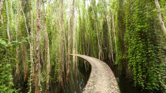 Mangrove Ecological Reserve