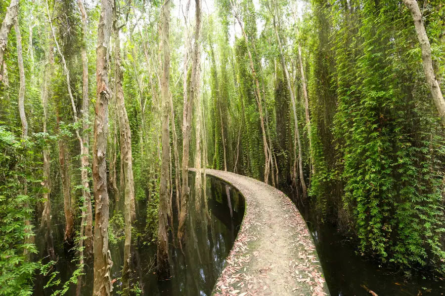 Mangrove Ecological Reserve