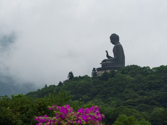 Tian Tan Buddha