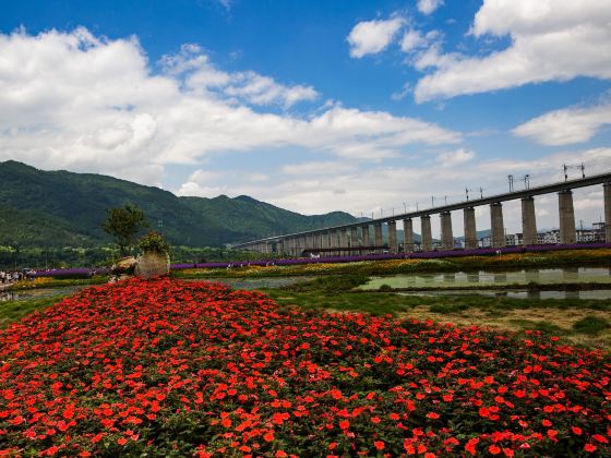 Jianchuan Flower Sea, Jinyun