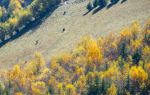 Suomo River Canyon